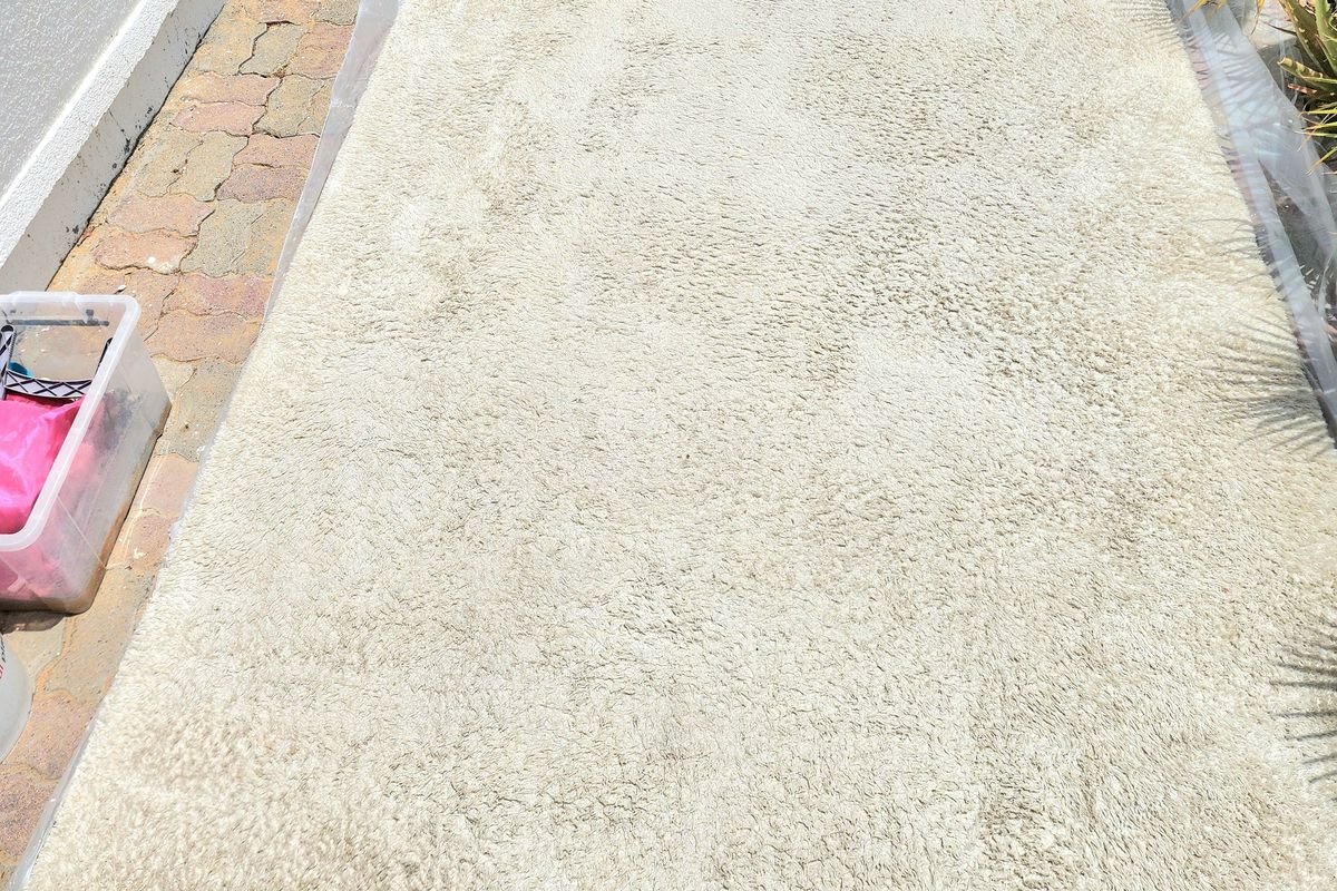 Cream rug clean with stains lifted after extraction cleaning