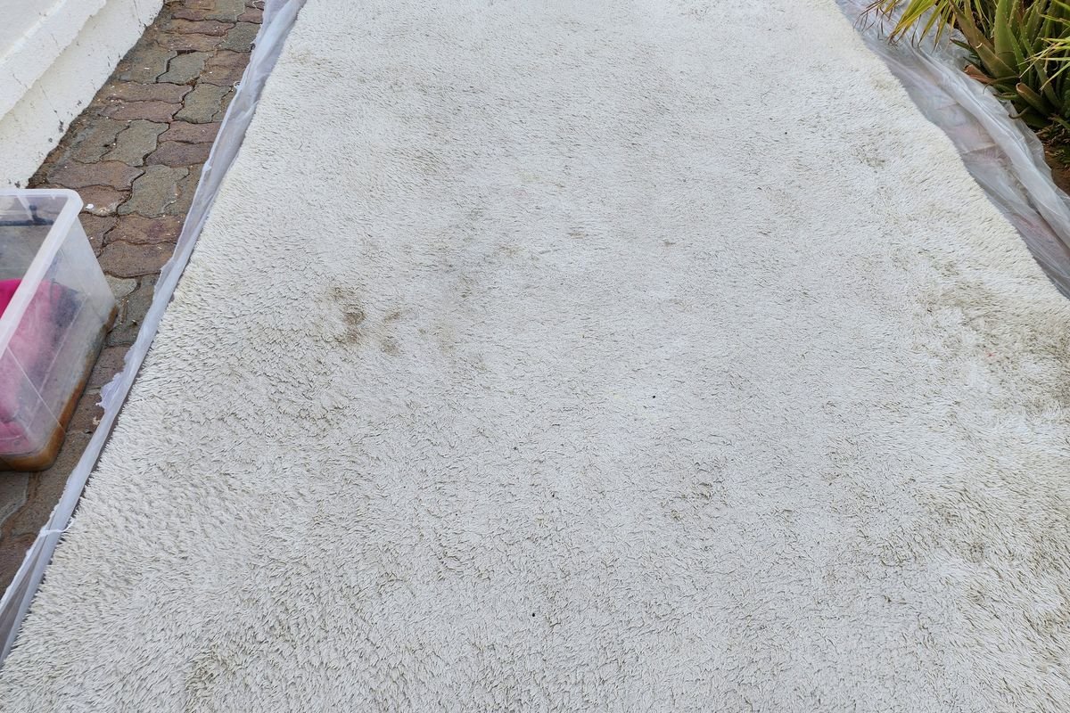 Cream rug with stains before shampoo and extraction